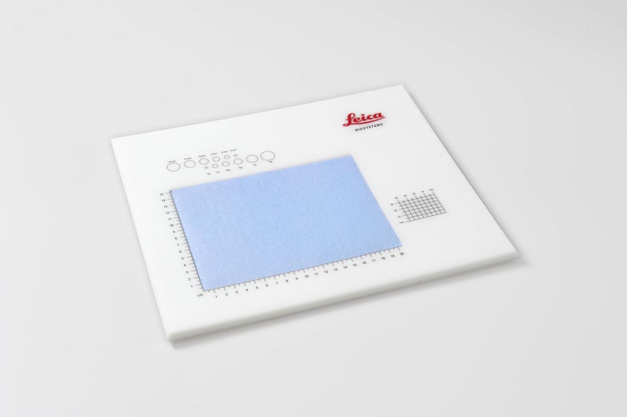 Столик для формування зразків зі шкалою Plain Dissection Board