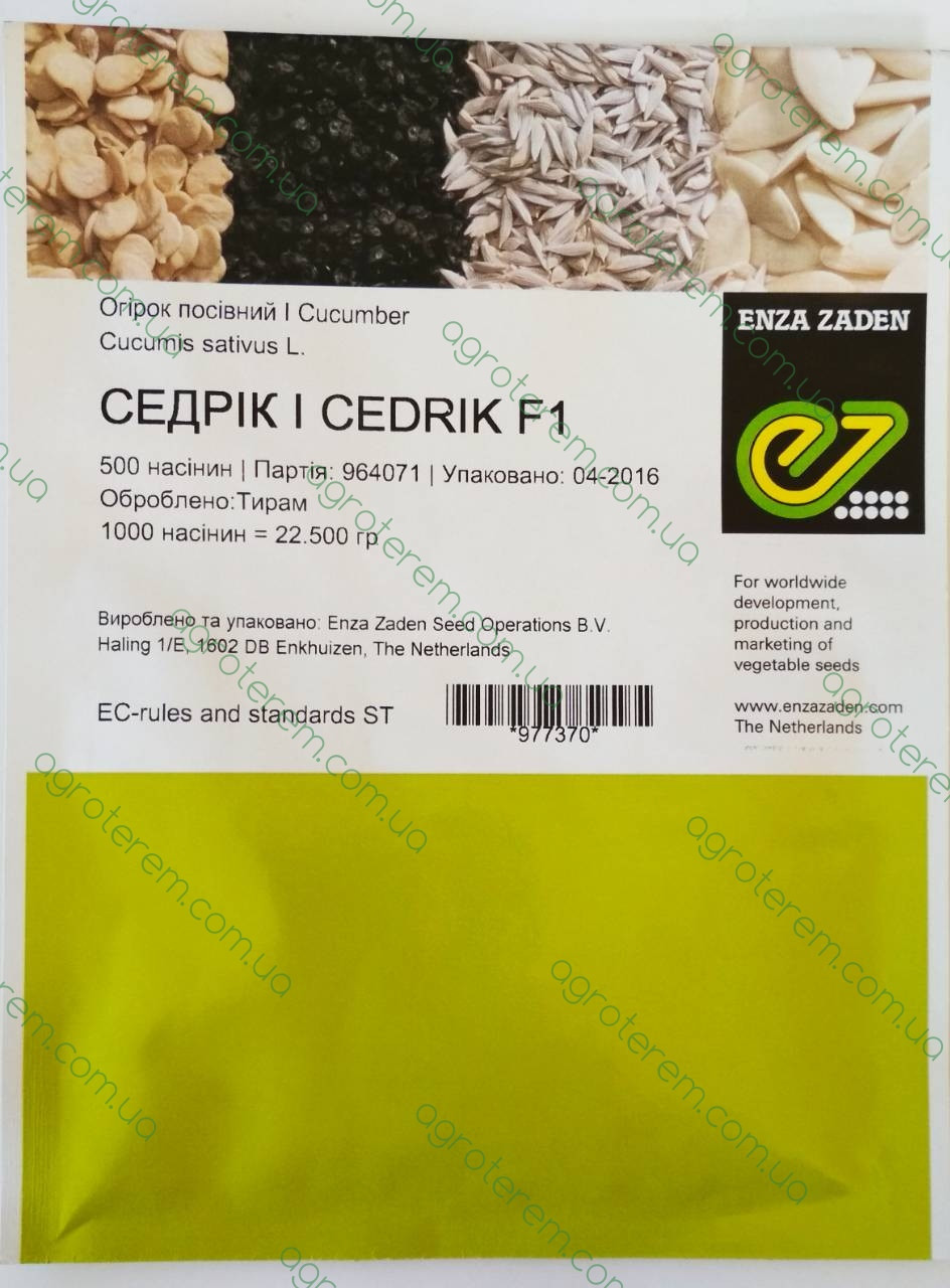 Насіння огірка Седрік CEDRIK F1 500 н.