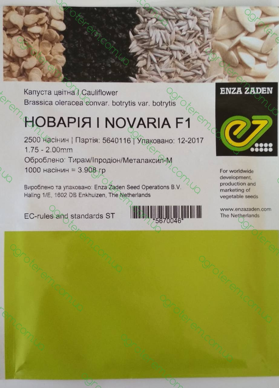 Насіння капусти Новарія NOVARIA F1 2500 н.
