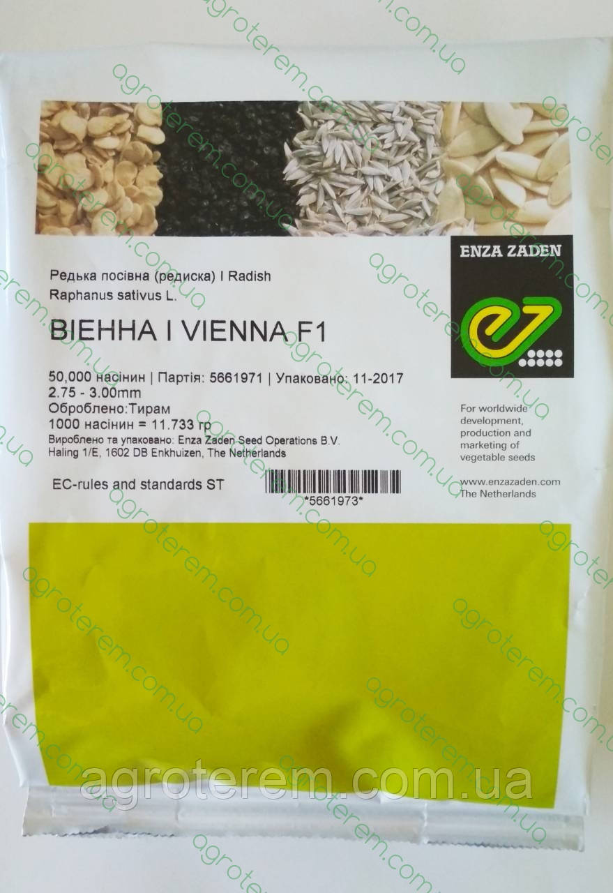 Редис Вієнна Vienna F1 50000 н. (2,75-3)