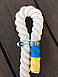 Дитячий навісний набір для шведської стінки (гімнастичні кільця, тарзанка, мотузкові сходи), фото 2