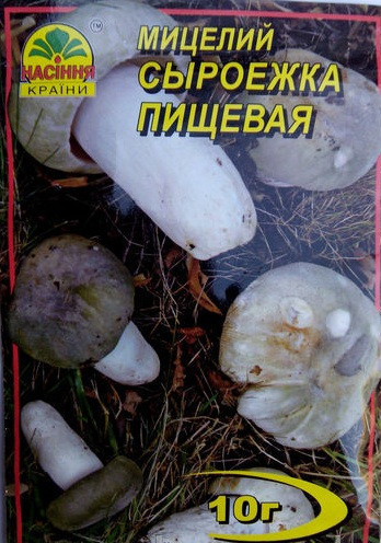 Міцеля гриба Сироежка Харчова, 10 г