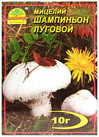 Міцеля гриба Шампіньйон Луговий 10 г