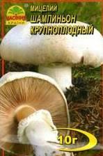 Міцеля гриба Шампіньйон Великаплідна, 10 г
