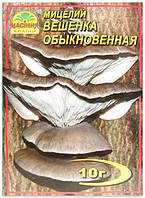 Міцелій гриба Глива Звичайна, 10 м