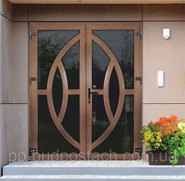 Вхідні двері з алюмінієвого та ПВХ-профілю