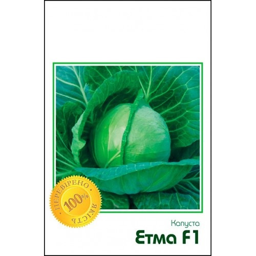 Капуста Етма F1 20 насіння Rijk Zwaan, фото 1