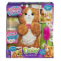 Фурриал Френдс интерактивный котенок Дэйзи от Hasbro Daisy FurReal Friends