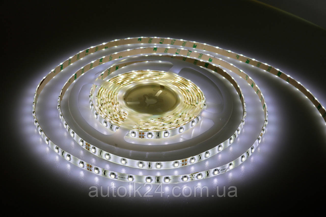 Світлодіодна Led-стрічка SMD 3528 24 V (вологозахисна) Колір Білий (холодний), фото 1