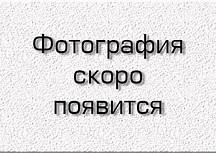 Блешня для зимової риболовлі Мілдас з підвісним трійником, латунь, мала, 30шт