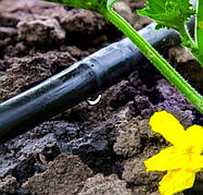 Крапельна трубка (багаторічний крапельний полив).