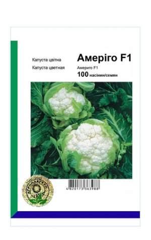 Капуста кольорова Америго F1 100 насіння Syngenta