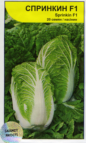 Капуста пекінська Спрінкін F1 20 насіння Syngenta, фото 1