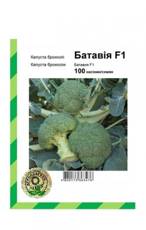 Капуста броколі Батавія F1 20 насіння Bejo
