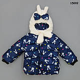 Демісезонна куртка "Кролики" для дівчинки. 90, 110 см, фото 2