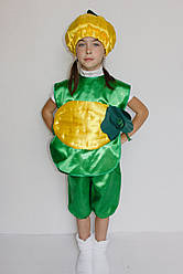 Карнавальний костюм Диня №1