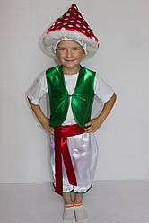 Карнавальний костюм Мухомор №1 (хлопчик)