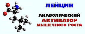 В асортименті з'явилася амінокислота Лейцин