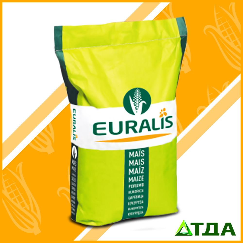 Гібрид кукурудзи ЄС Гармоніум ФАО 380