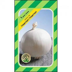 Лук Гледстоун 1 г Bejo