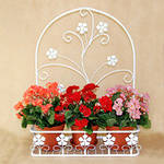 Підставки для квітів підвісні