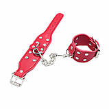 6 предметів у наборі БДСМ Abstraction, фото 4