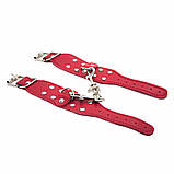 6 предметів у наборі БДСМ Abstraction, фото 7