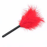 6 предметів у наборі БДСМ Abstraction, фото 5