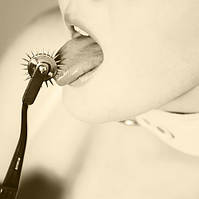 Голчасте колесо BDSM tract