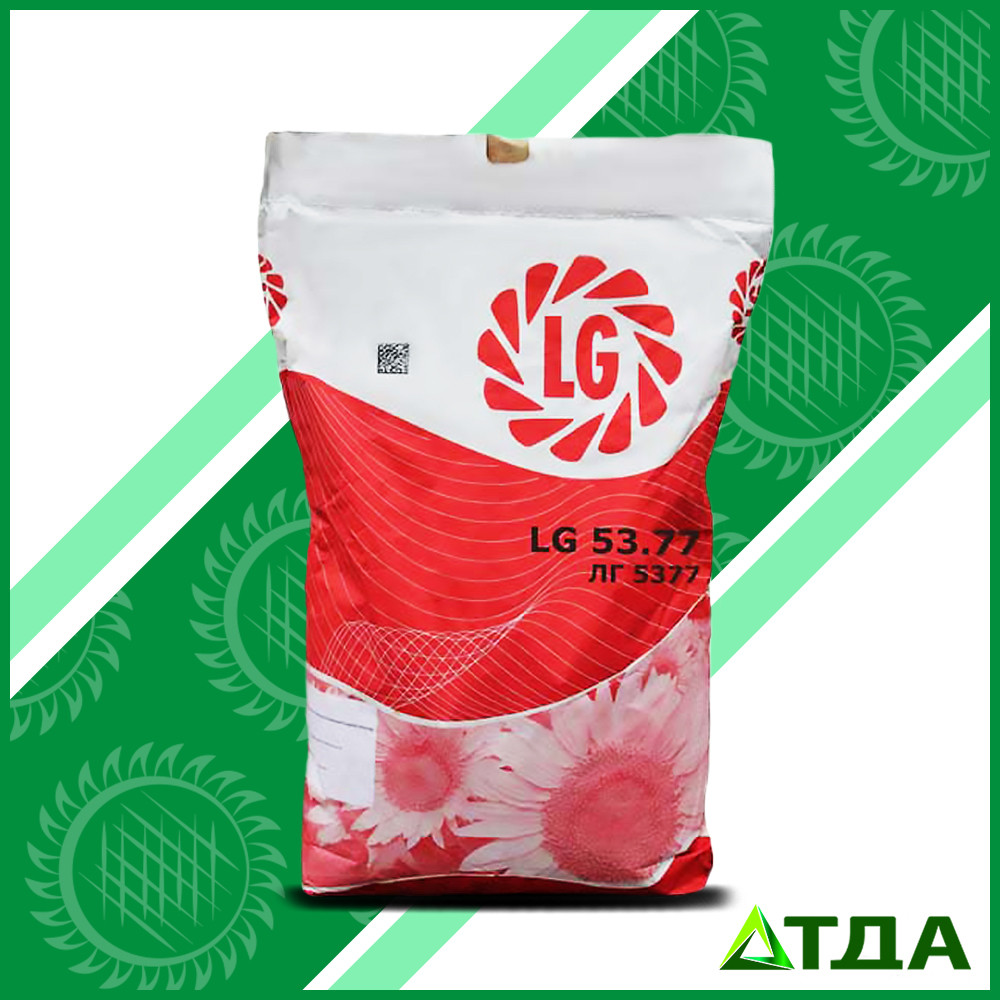 Насіння соняшнику ЛГ 5377