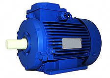 Електродвигун АИР355МВ8 (200 кВт, 750 об/хв)