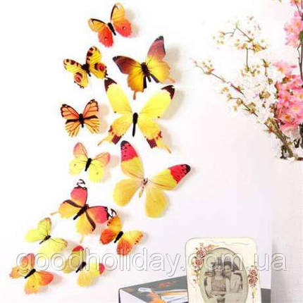 Объемные 3D бабочки для декора желтые цветные (на скотче), фото 2