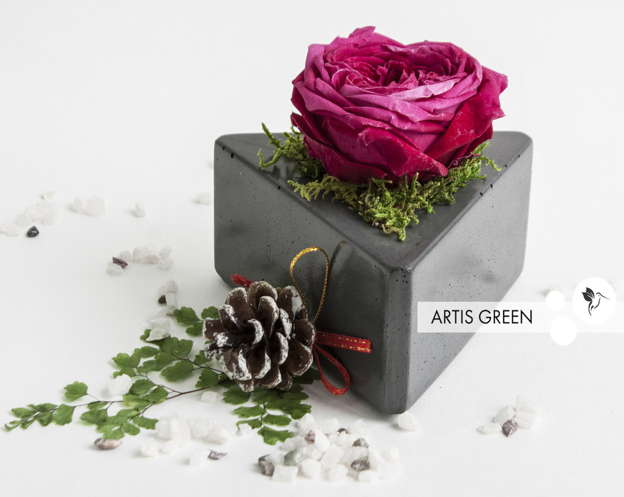 Стабілізована троянда в бетоні Blossom mini, S45