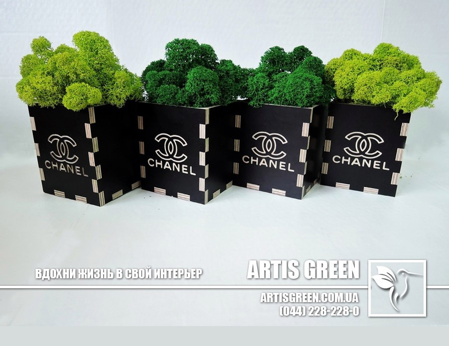 Брендовані сувеніри з мохом від "Artis Green", S9