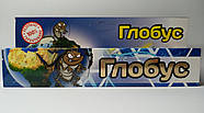 Гель Глобус від тарганів і мурах гель 30 мл., фото 3