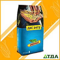 Семена кукурузы DKC 3472 / ДКС 3472 ФАО 270