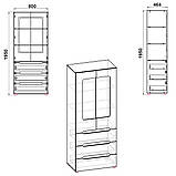 МС Шафа-21, фото 5