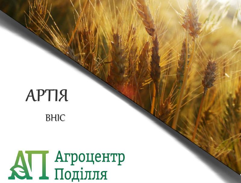 Озима пшениця Артія, ВНІС