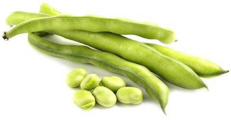 Насіння бобових