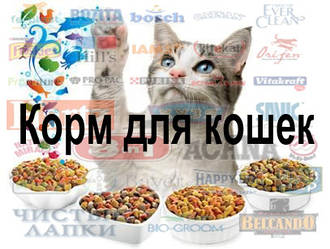 Корм для кішок