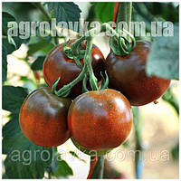 Семена томата индетерминантного Сашер F1 (100семян) Yuksel, Турция