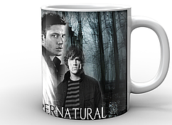 Кружка GeekLand біла Надприродне Supernatural Friend SN.02.011.601