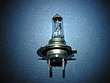 Автолампи H7 General Electric Standart PX26d 12 V 55 W картонне паковання (Угорщина), фото 6
