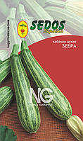 Кабачок-цукіні Зебра (2,5 г інкрустованого насіння) - SEDOS
