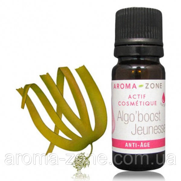 Актив ALGO'BOOST Jeunesse , 10 мл