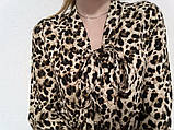 Блуза жіноча Esmara by Heidi Klum (розмір 40/EUR34) леопардова, фото 4