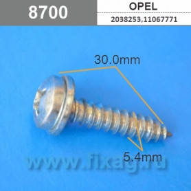 Саморез отделки на Opel, фото 2