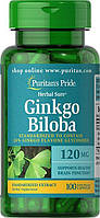 Puritan's Pride Ginkgo Biloba Standardized Extract 120 mg (100 капс.)