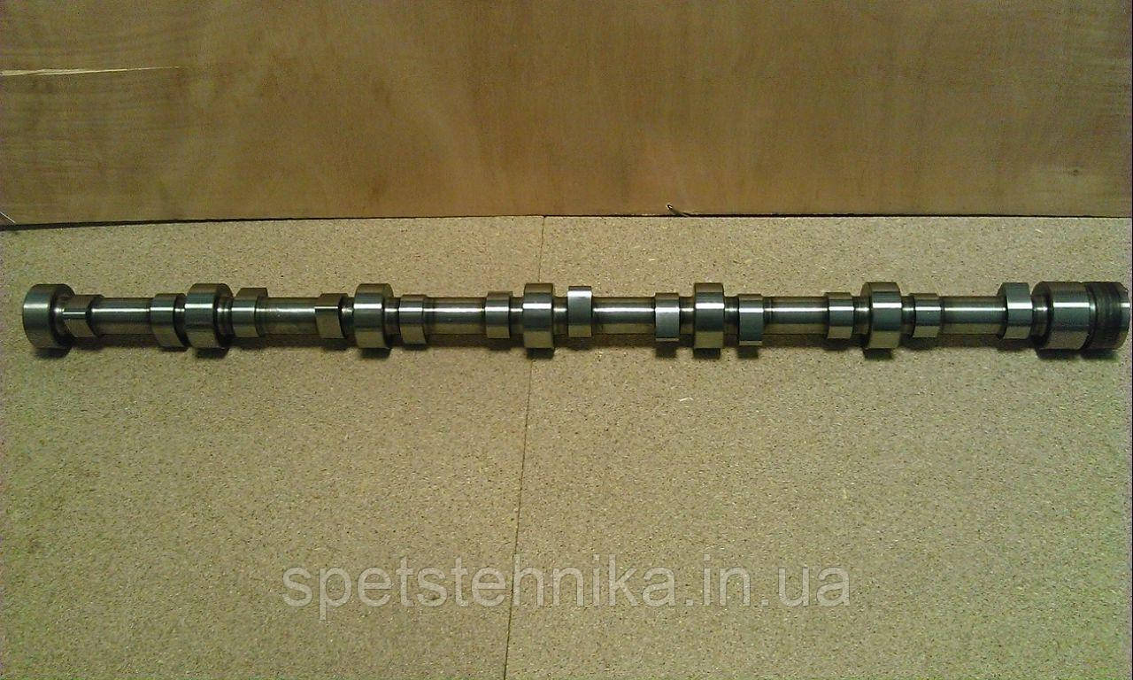 61500050096 розкрив