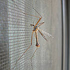 Москітна сітка 0.9 м*30м щільна пластикова сіра, Євро, фото 3